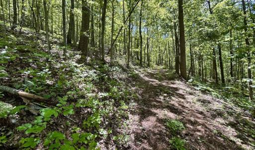 Photo #25 of Off Jeters Chapel Rd, Vinton, VA 150.8 acres