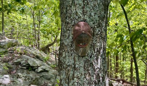 Photo #26 of Off Jeters Chapel Rd, Vinton, VA 150.8 acres