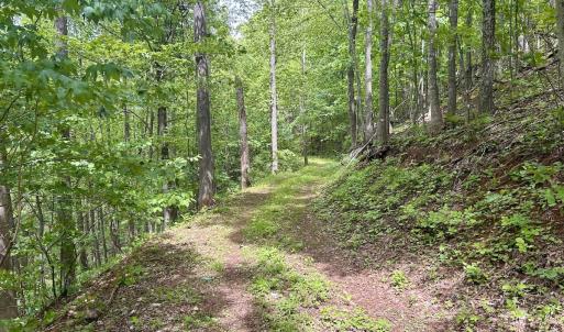 Photo #27 of Off Jeters Chapel Rd, Vinton, VA 150.8 acres