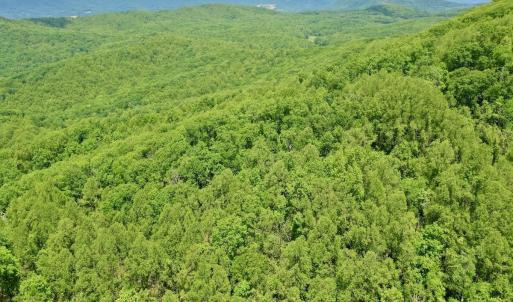 Photo #29 of Off Jeters Chapel Rd, Vinton, VA 150.8 acres