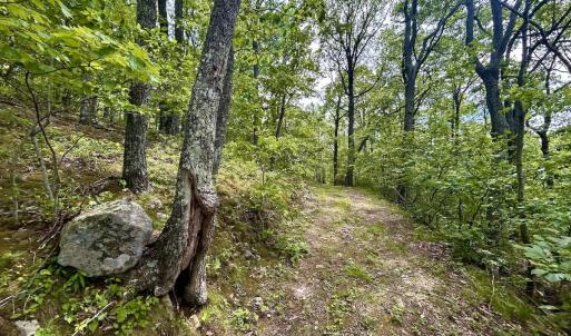 Photo #32 of Off Jeters Chapel Rd, Vinton, VA 150.8 acres
