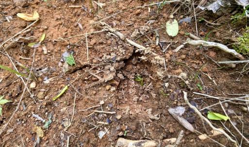 Photo #33 of Off Jeters Chapel Rd, Vinton, VA 150.8 acres