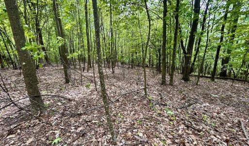 Photo #34 of Off Jeters Chapel Rd, Vinton, VA 150.8 acres