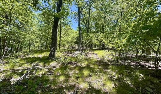 Photo #35 of Off Jeters Chapel Rd, Vinton, VA 150.8 acres