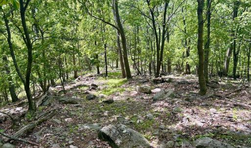 Photo #37 of Off Jeters Chapel Rd, Vinton, VA 150.8 acres