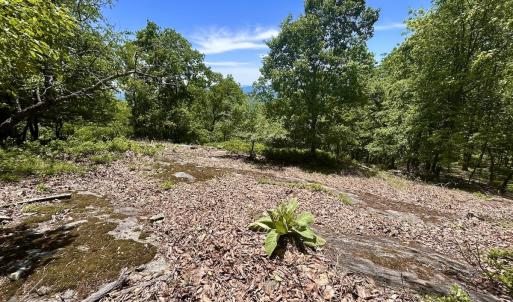 Photo #39 of Off Jeters Chapel Rd, Vinton, VA 150.8 acres