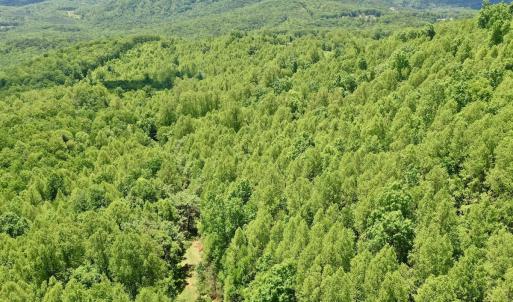 Photo #7 of Off Jeters Chapel Rd, Vinton, VA 150.8 acres
