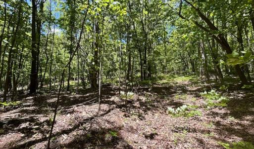 Photo #8 of Off Jeters Chapel Rd, Vinton, VA 150.8 acres