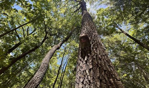 Photo #9 of Off Jeters Chapel Rd, Vinton, VA 150.8 acres