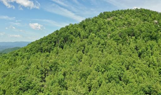 Photo #43 of Off Jeters Chapel Rd, Vinton, VA 150.8 acres