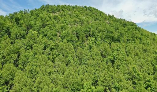 Photo #44 of Off Jeters Chapel Rd, Vinton, VA 150.8 acres