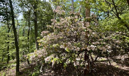 Photo #49 of Off Jeters Chapel Rd, Vinton, VA 150.8 acres