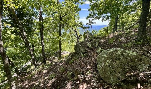 Photo #50 of Off Jeters Chapel Rd, Vinton, VA 150.8 acres