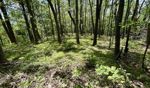 Photo #53 of Off Jeters Chapel Rd, Vinton, VA 150.8 acres