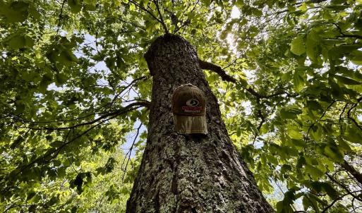 Photo #54 of Off Jeters Chapel Rd, Vinton, VA 150.8 acres