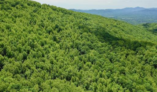 Photo #55 of Off Jeters Chapel Rd, Vinton, VA 150.8 acres