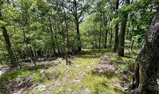 Photo #56 of Off Jeters Chapel Rd, Vinton, VA 150.8 acres