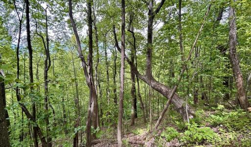 Photo #58 of Off Jeters Chapel Rd, Vinton, VA 150.8 acres