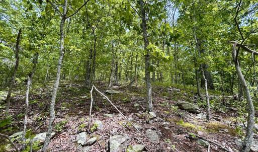 Photo #59 of Off Jeters Chapel Rd, Vinton, VA 150.8 acres