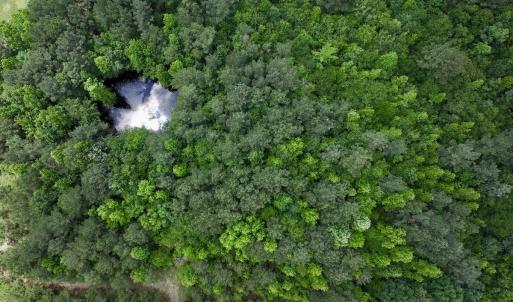 Photo #10 of Off Woodridge Road, Enfield, NC 27.9 acres