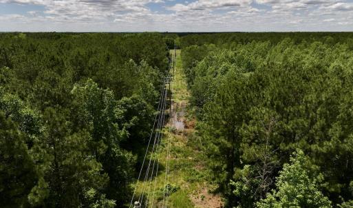 Photo #13 of Off Woodridge Road, Enfield, NC 27.9 acres