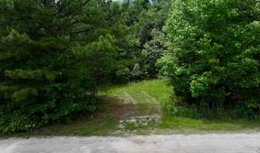 Photo #18 of Off Woodridge Road, Enfield, NC 27.9 acres