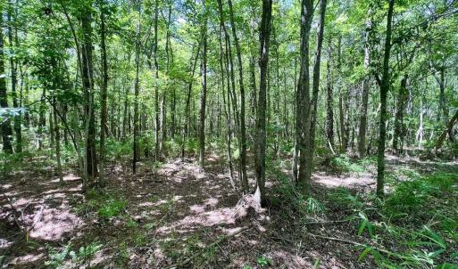 Photo #19 of Off Woodridge Road, Enfield, NC 27.9 acres