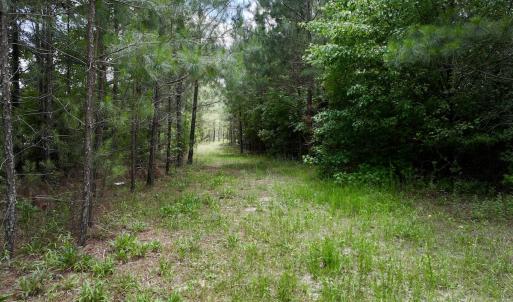 Photo #20 of Off Woodridge Road, Enfield, NC 27.9 acres