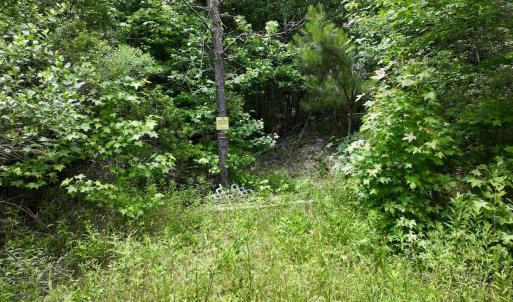 Photo #22 of Off Woodridge Road, Enfield, NC 27.9 acres