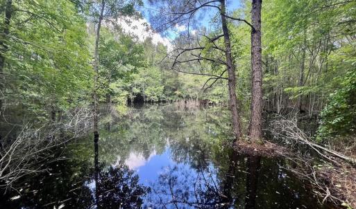 Photo #24 of Off Woodridge Road, Enfield, NC 27.9 acres
