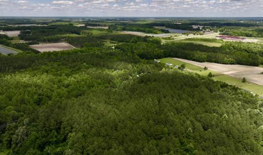 Photo #4 of Off Woodridge Road, Enfield, NC 27.9 acres