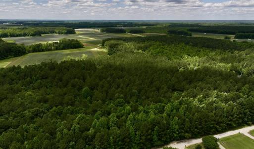 Photo #7 of Off Woodridge Road, Enfield, NC 27.9 acres