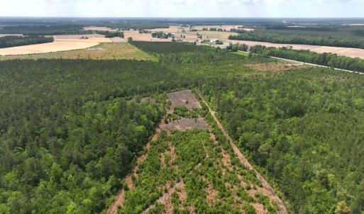 Photo #11 of Off Chance Blvd, Robersonville, NC 34.4 acres