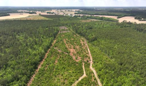 Photo #12 of Off Chance Blvd, Robersonville, NC 34.4 acres