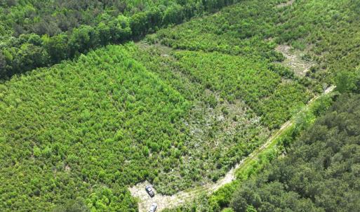 Photo #13 of Off Chance Blvd, Robersonville, NC 34.4 acres