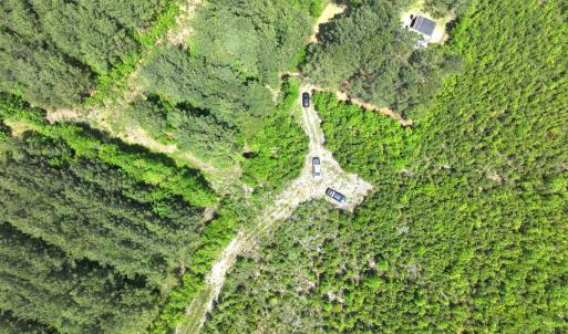 Photo #14 of Off Chance Blvd, Robersonville, NC 34.4 acres
