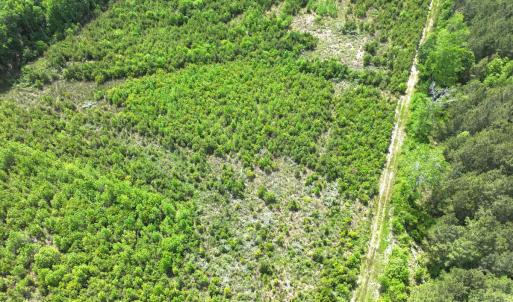 Photo #15 of Off Chance Blvd, Robersonville, NC 34.4 acres