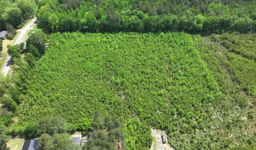 Photo #17 of Off Chance Blvd, Robersonville, NC 34.4 acres