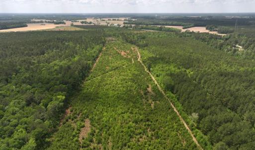 Photo #1 of Off Chance Blvd, Robersonville, NC 34.4 acres