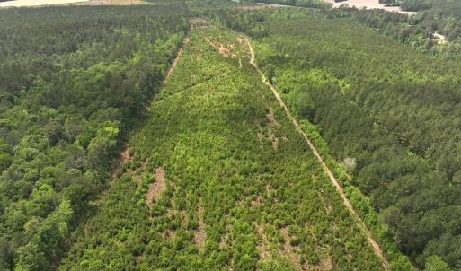 Photo #2 of Off Chance Blvd, Robersonville, NC 34.4 acres