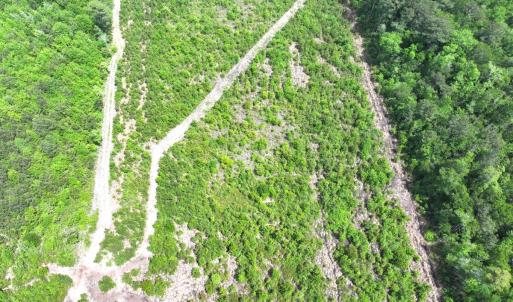 Photo #20 of Off Chance Blvd, Robersonville, NC 34.4 acres