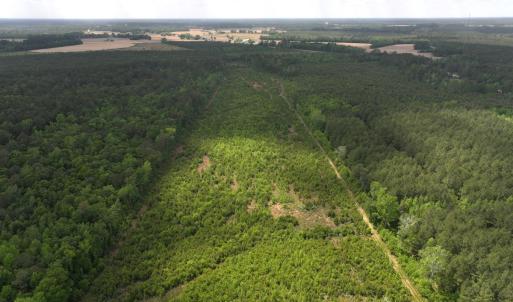 Photo #3 of Off Chance Blvd, Robersonville, NC 34.4 acres