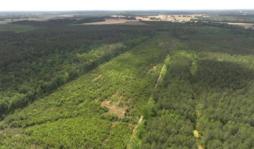 Photo #4 of Off Chance Blvd, Robersonville, NC 34.4 acres
