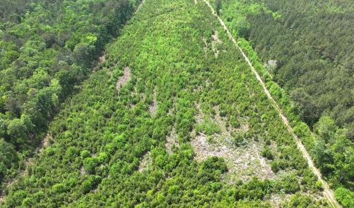 Photo #5 of Off Chance Blvd, Robersonville, NC 34.4 acres