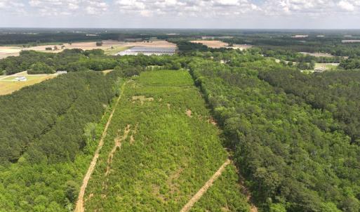 Photo #6 of Off Chance Blvd, Robersonville, NC 34.4 acres
