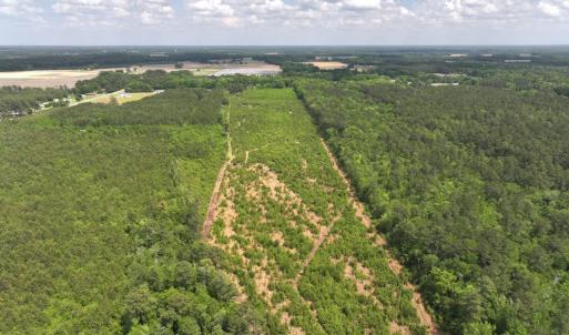 Photo #7 of Off Chance Blvd, Robersonville, NC 34.4 acres