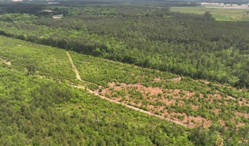 Photo #8 of Off Chance Blvd, Robersonville, NC 34.4 acres