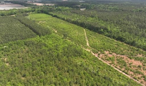 Photo #9 of Off Chance Blvd, Robersonville, NC 34.4 acres