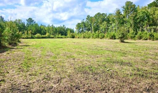 Photo #23 of Off Chance Blvd, Robersonville, NC 34.4 acres