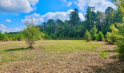 Photo #24 of Off Chance Blvd, Robersonville, NC 34.4 acres
